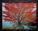 Landscapes