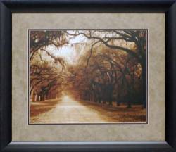 Savannah Oaks I