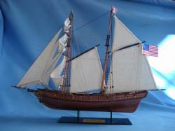 Prince de Neuchatel 24"