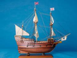 Mayflower Limited 30"