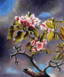 Branch of Apple Blossoms Against a Gray Cloudy Sky