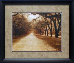 Savannah Oaks II