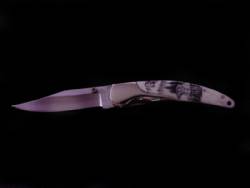 Scrimshaw Medium Folding Knife
