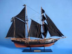 Ben Franklin's Black Prince Limited 24"