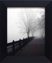 Promenade in the Mist