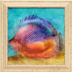 Fish II