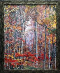 Growing Autumn Forest