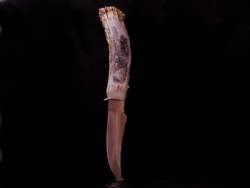 Scrimshaw Fixed Blade Knife
