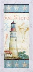 Coastal Shells I