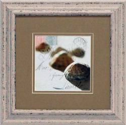Postal Shells IV