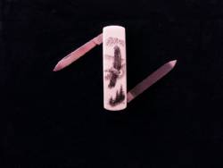 Scrimshaw 2 blade knife