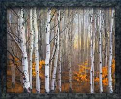 Aspen in Fog