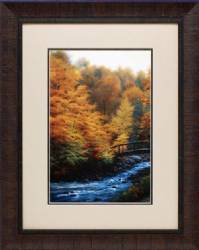 Autumn Stream