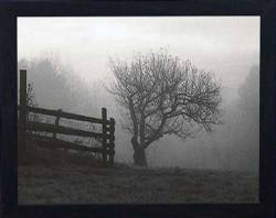 Mountain Meadow Farm