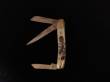 Scrimshaw 3 Blade Iron Horse Knife