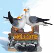 Twin Seagulls With Welcome Sign
