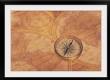Compass with world map