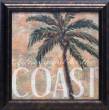 Coastal Palm