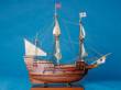 Mayflower Limited 30"