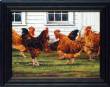 Rooster Coop