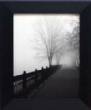 Promenade in the Mist