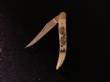 Small Iron Horse Scrimshaw Knife