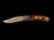 Scrimshaw Medium Folding Knife