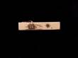 Scrimshaw Bone Tie Clip