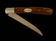 Scrimshaw Large Folding Knife