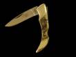 Scrimshaw Medium Folding Knife