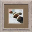Postal Shells IV