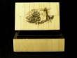 Scrimshaw Bone Box