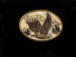 Fossil Ivory Belt Buckle