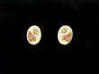 Scrimshaw Bone Earrings