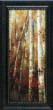 Birch Forest I